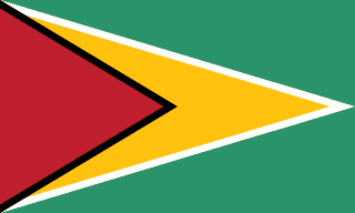 Guyana 1 GB - 7 Days